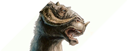 The Tauntaun Clan